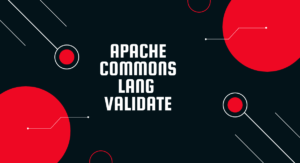 Read more about the article Apache Commons Lang Validate