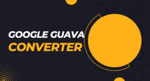 Read more about the article Google Guava Converter