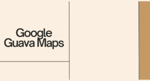 Read more about the article Google Guava Maps